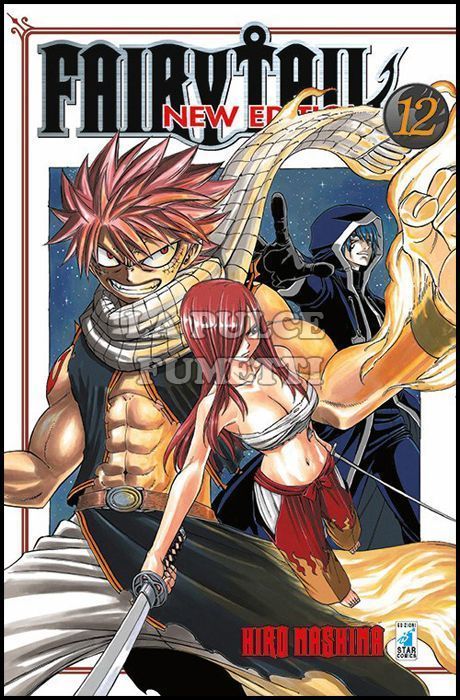 BIG #    12 - FAIRY TAIL NEW EDITION 12